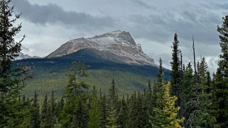 Hector - Parc National de Banff Canada 2023